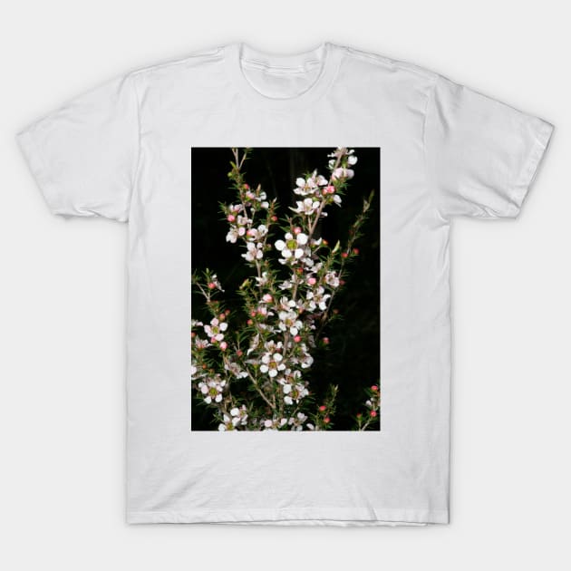 Tea Tree Blossom T-Shirt by GP1746